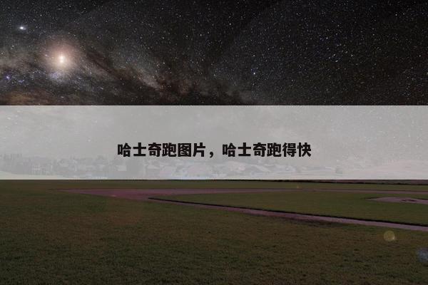 哈士奇跑图片，哈士奇跑得快