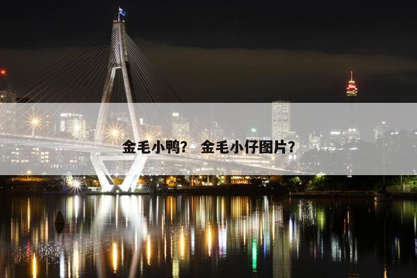 金毛小鸭？ 金毛小仔图片？