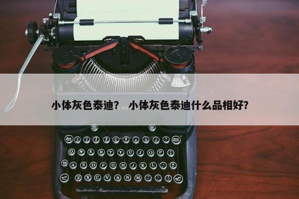 小体灰色泰迪？ 小体灰色泰迪什么品相好？