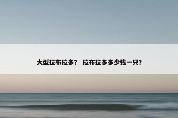 大型拉布拉多？ 拉布拉多多少钱一只？