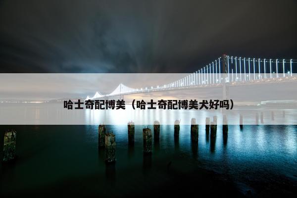 哈士奇配博美（哈士奇配博美犬好吗）