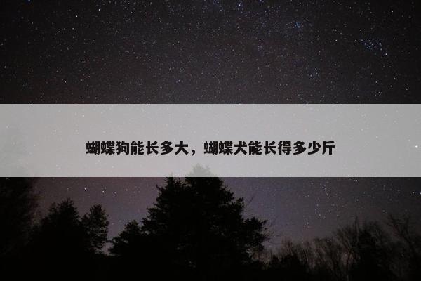 蝴蝶狗能长多大，蝴蝶犬能长得多少斤