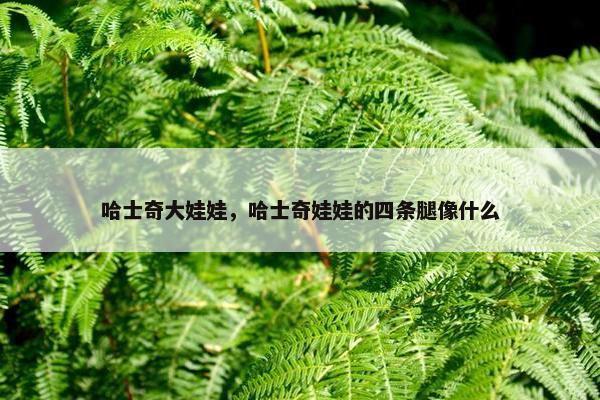 哈士奇大娃娃，哈士奇娃娃的四条腿像什么