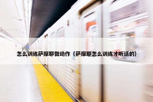 怎么训练萨摩耶做动作（萨摩耶怎么训练才听话的）