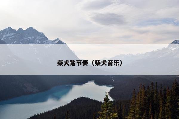 柴犬踏节奏（柴犬音乐）