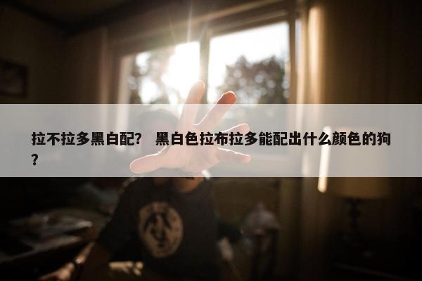 拉不拉多黑白配？ 黑白色拉布拉多能配出什么颜色的狗？
