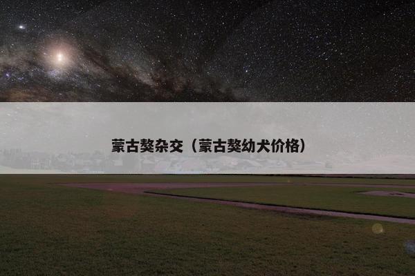 蒙古獒杂交（蒙古獒幼犬价格）