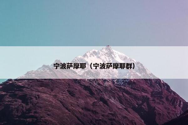 宁波萨摩耶（宁波萨摩耶群）
