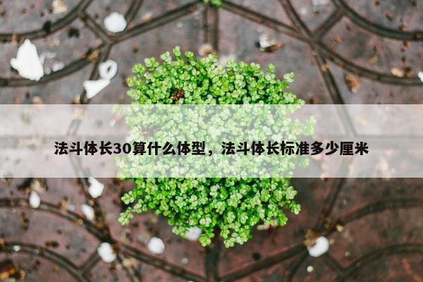 法斗体长30算什么体型，法斗体长标准多少厘米