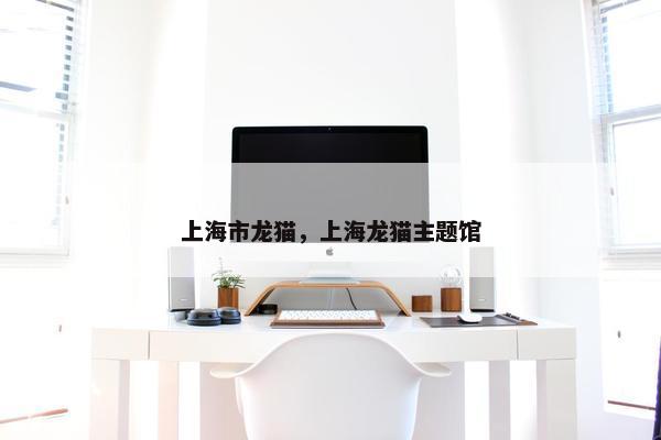 上海市龙猫，上海龙猫主题馆
