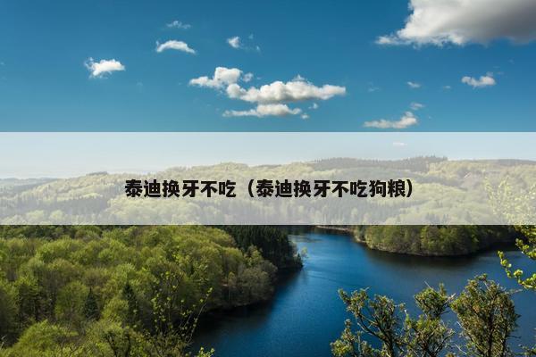 泰迪换牙不吃（泰迪换牙不吃狗粮）