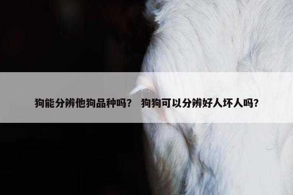 狗能分辨他狗品种吗？ 狗狗可以分辨好人坏人吗？