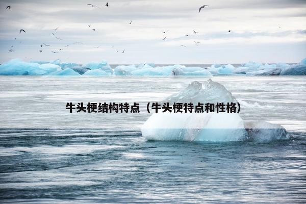 牛头梗结构特点（牛头梗特点和性格）
