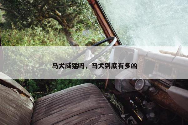 马犬威猛吗，马犬到底有多凶