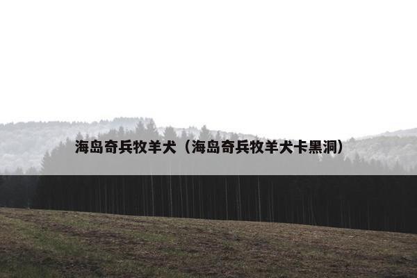 海岛奇兵牧羊犬（海岛奇兵牧羊犬卡黑洞）