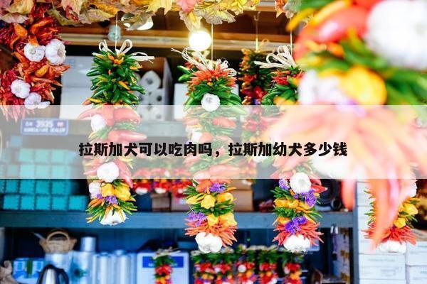 拉斯加犬可以吃肉吗，拉斯加幼犬多少钱