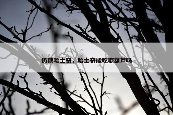 扔糖哈士奇，哈士奇能吃糖葫芦吗