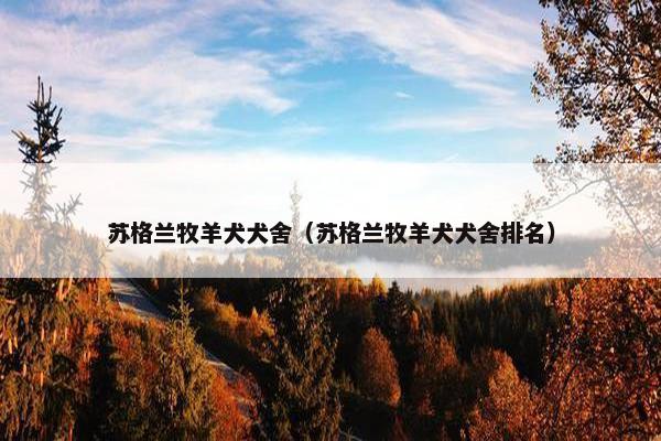 苏格兰牧羊犬犬舍（苏格兰牧羊犬犬舍排名）