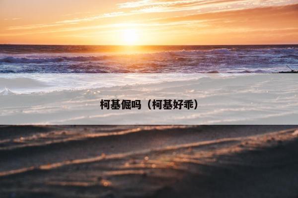 柯基倔吗（柯基好乖）