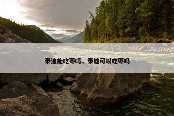 泰迪能吃枣吗，泰迪可以吃枣吗