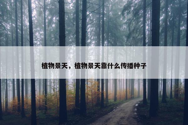 植物景天，植物景天靠什么传播种子