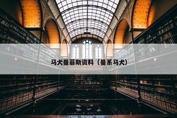 马犬曼菲斯资料（曼系马犬）