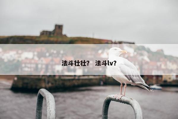 法斗壮壮？ 法斗lv？