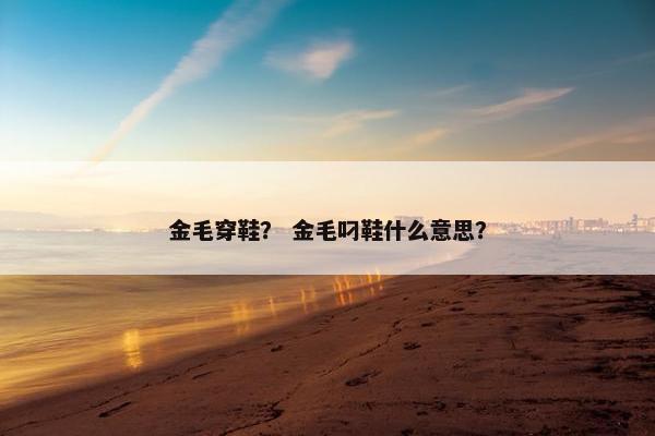 金毛穿鞋？ 金毛叼鞋什么意思？