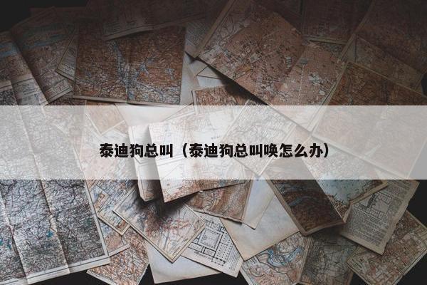泰迪狗总叫（泰迪狗总叫唤怎么办）
