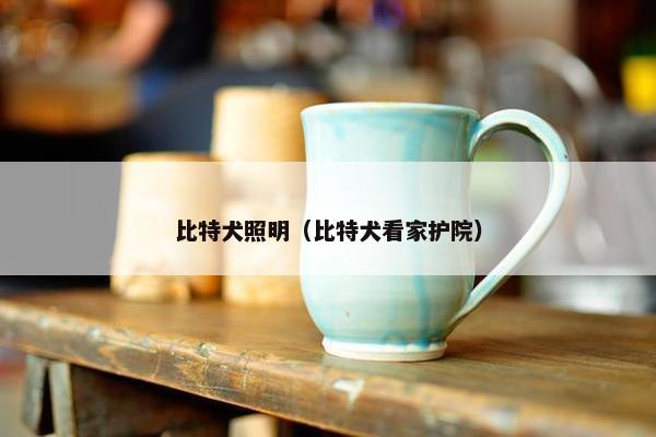 比特犬照明（比特犬看家护院）