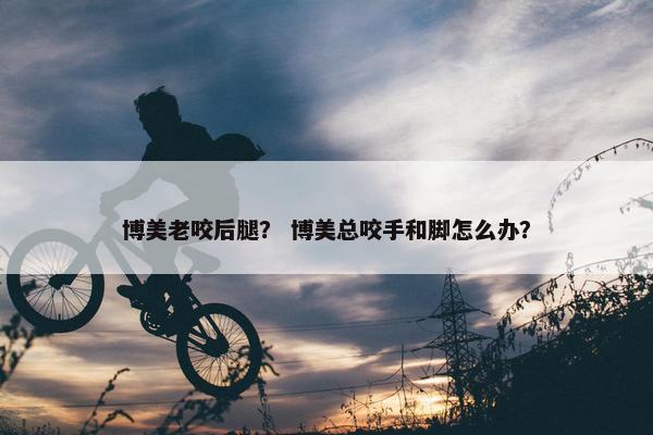 博美老咬后腿？ 博美总咬手和脚怎么办？