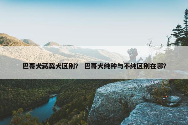 巴哥犬藏獒犬区别？ 巴哥犬纯种与不纯区别在哪？