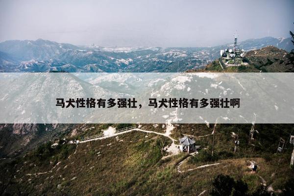 马犬性格有多强壮，马犬性格有多强壮啊