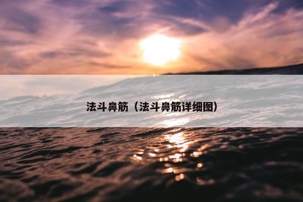 法斗鼻筋（法斗鼻筋详细图）