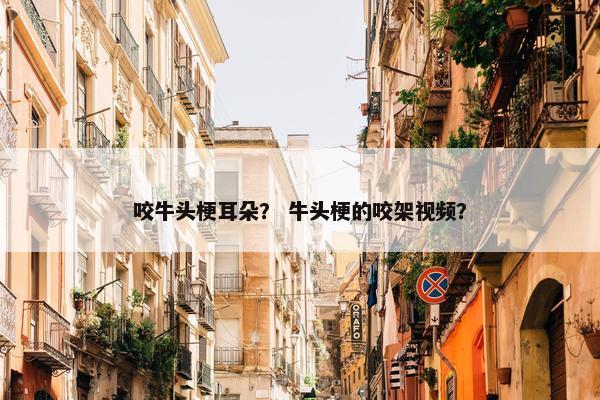 咬牛头梗耳朵？ 牛头梗的咬架视频？