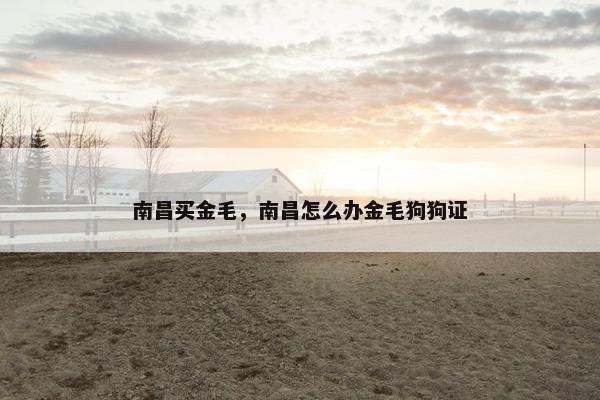 南昌买金毛，南昌怎么办金毛狗狗证