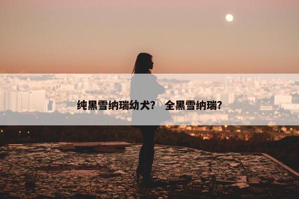 纯黑雪纳瑞幼犬？ 全黑雪纳瑞？