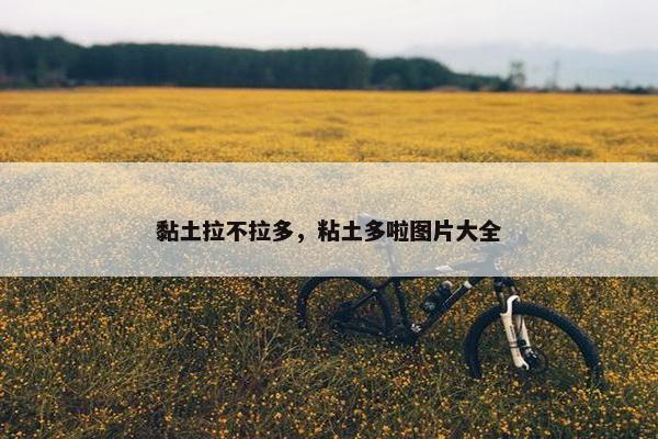 黏土拉不拉多，粘土多啦图片大全