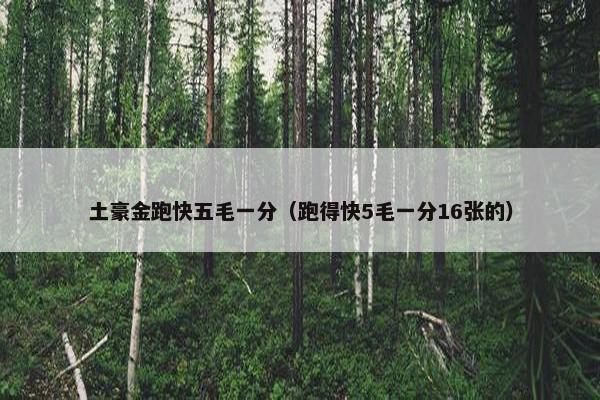 土豪金跑快五毛一分（跑得快5毛一分16张的）