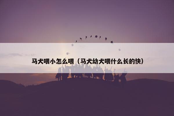 马犬喂小怎么喂（马犬幼犬喂什么长的快）