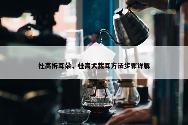 杜高拆耳朵，杜高犬裁耳方法步骤详解