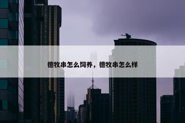 德牧串怎么饲养，德牧串怎么样