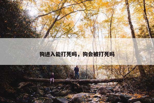 狗进入能打死吗，狗会被打死吗