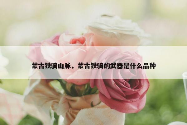 蒙古铁骑山脉，蒙古铁骑的武器是什么品种