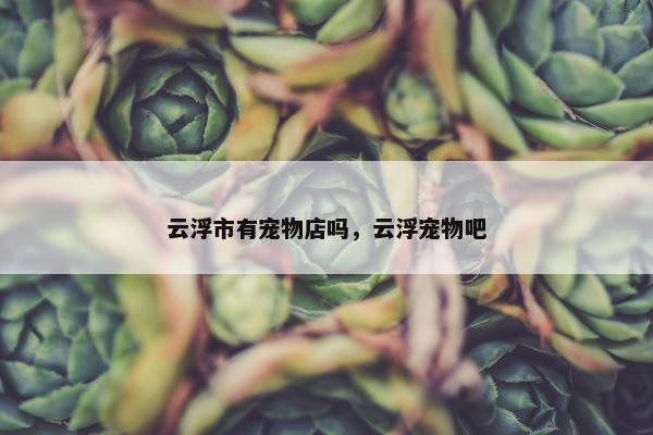 云浮市有宠物店吗，云浮宠物吧
