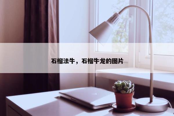 石榴法牛，石榴牛龙的图片