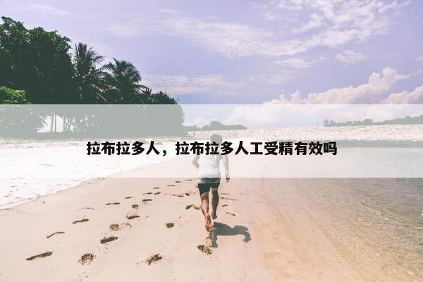 拉布拉多人，拉布拉多人工受精有效吗