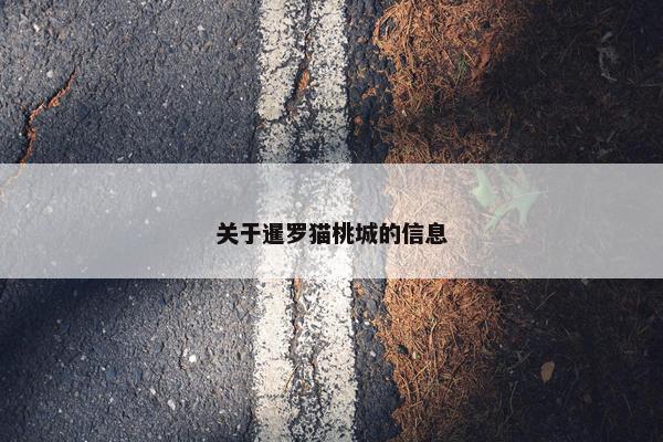 关于暹罗猫桃城的信息