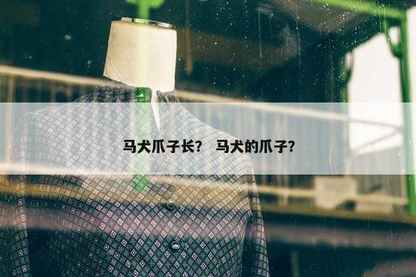 马犬爪子长？ 马犬的爪子？