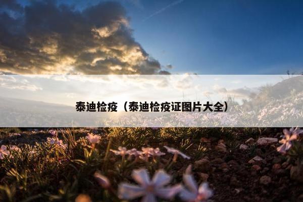 泰迪检疫（泰迪检疫证图片大全）